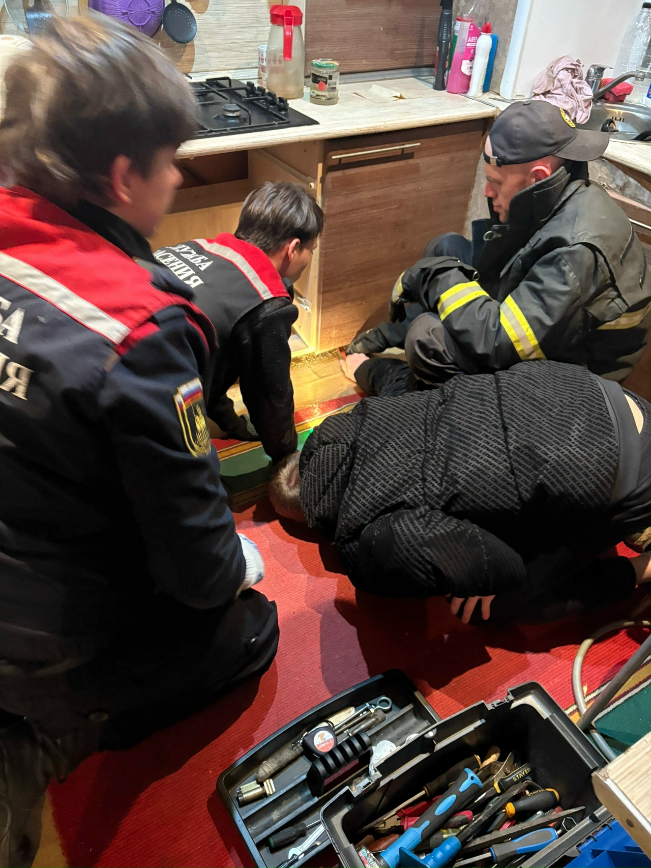 В Костроме для вызволения залезшей под тумбу кошки пришлось вызывать спасателей