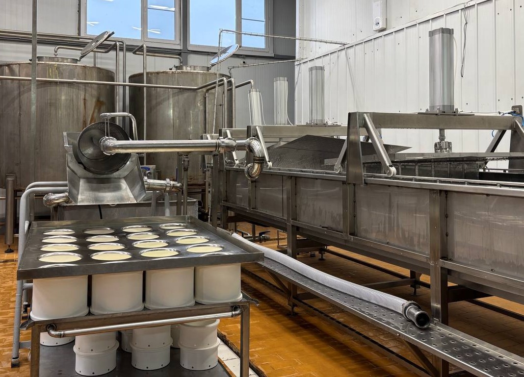 Варить сыр в костромском Мантурове будет ИИ