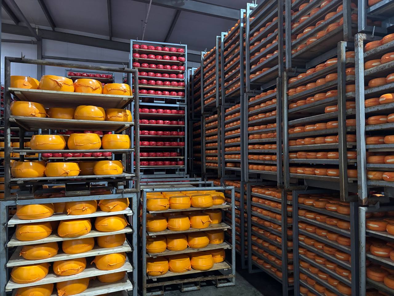 Варить сыр в костромском Мантурове будет ИИ