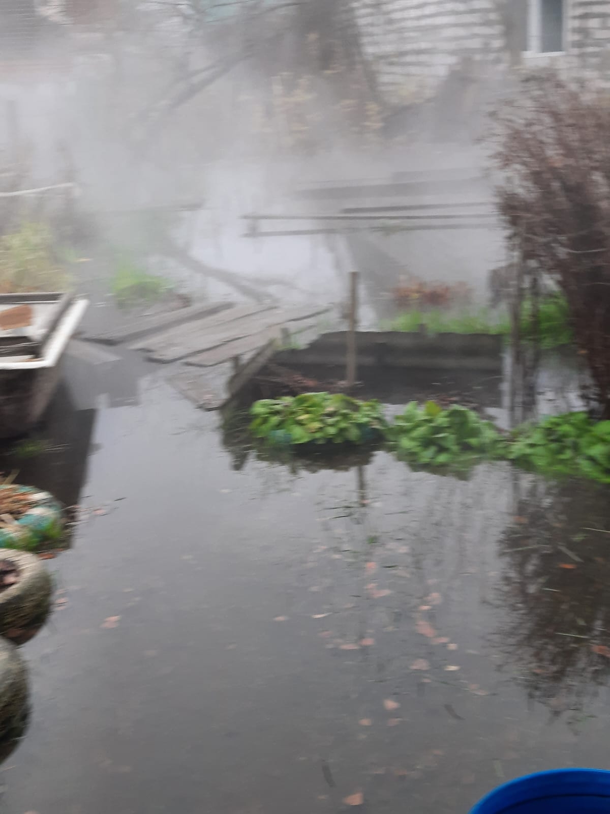 Горячий ключ: крутым кипятком в Костроме полтора месяца заливает частный сектор