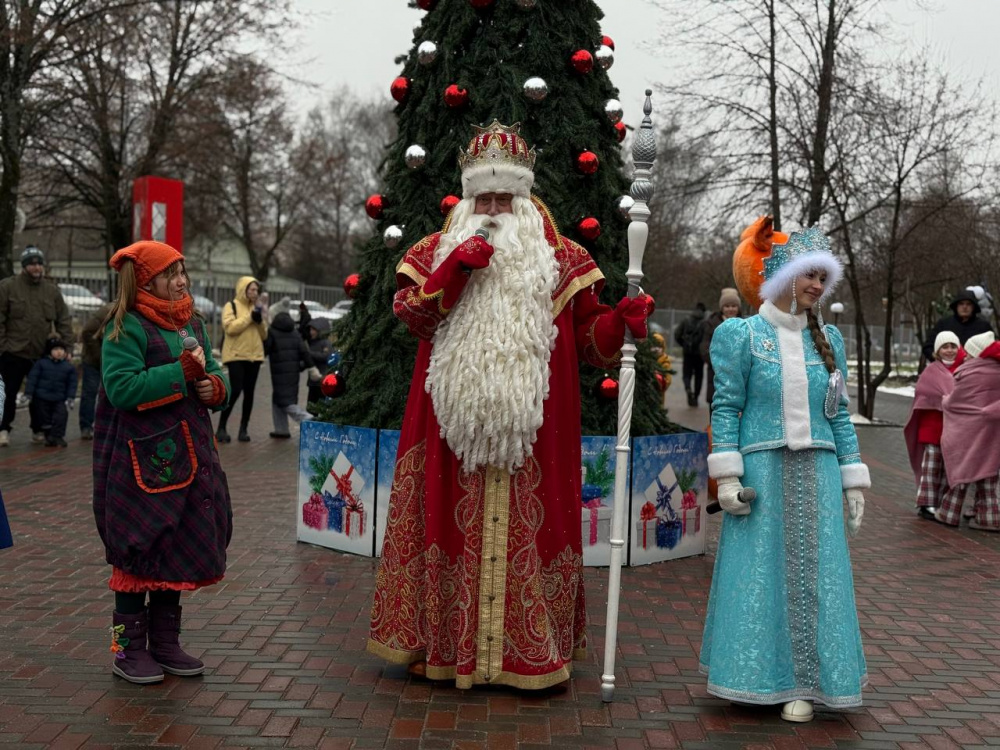 Костромские парки приглашают жителей на бесплатные новогодние представления под открытым небом