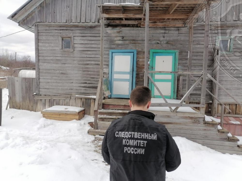 Костромичка сядет в тюрьму на 6,6 лет за попытку убийства брата