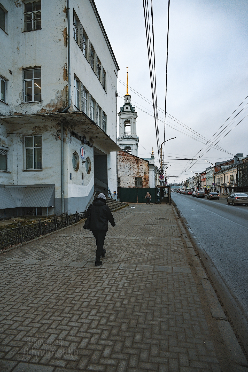 Кострому украсили новогодними елями