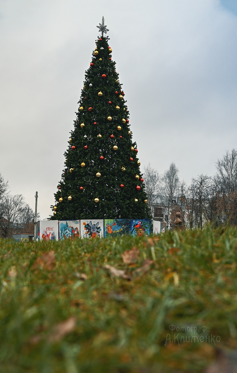 Кострому украсили новогодними елями