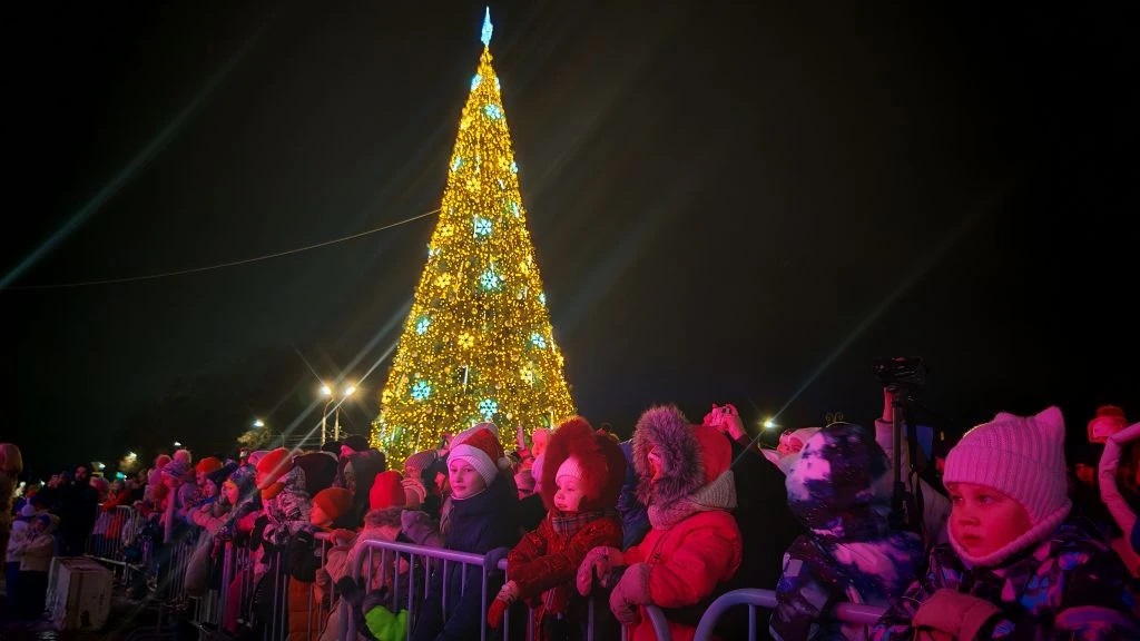 В Костроме Дед Мороз из Великого Устюга зажёг огни на главной ёлке города
