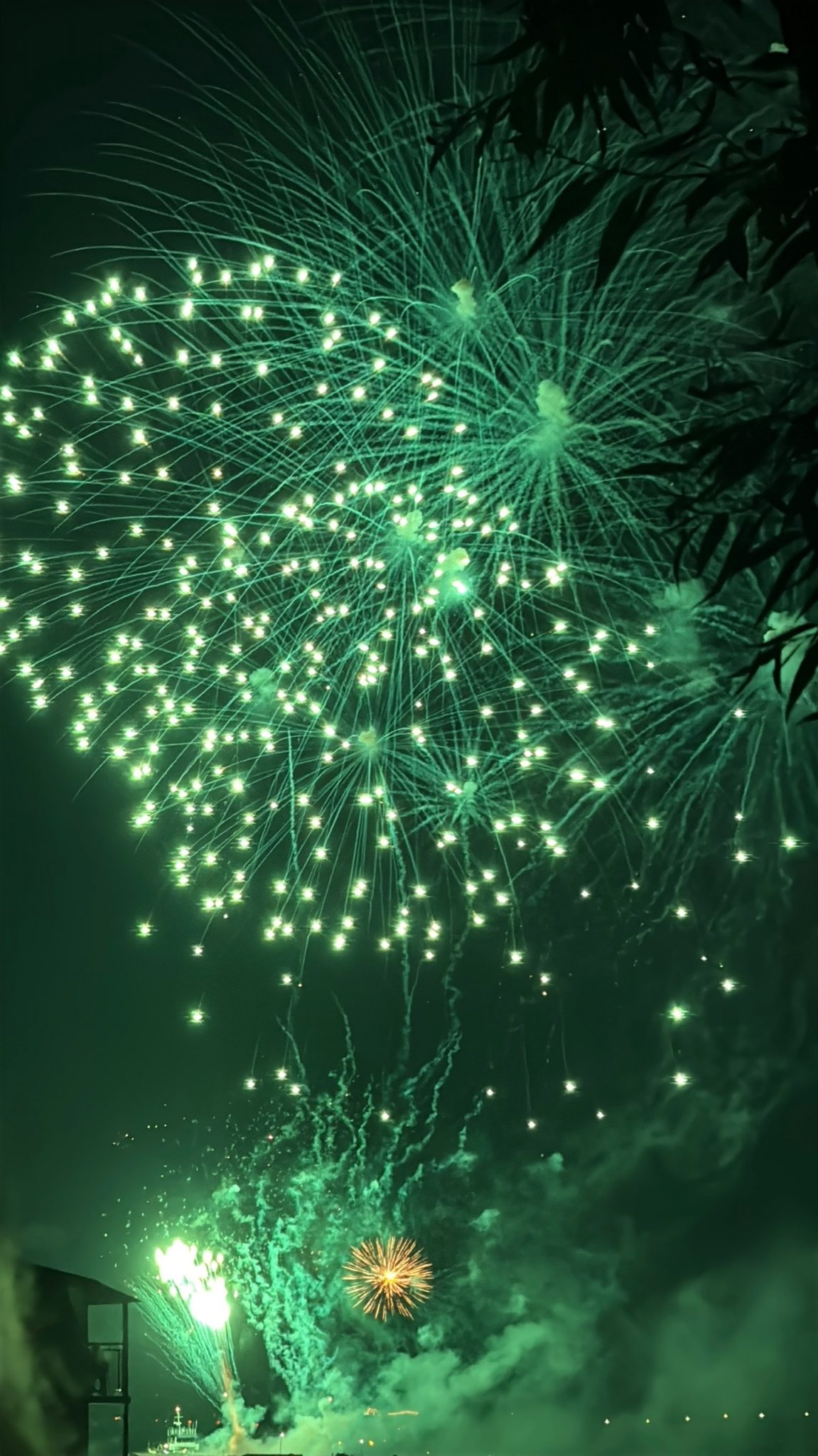 Костромичей призывают к осторожности при использовании пиротехники