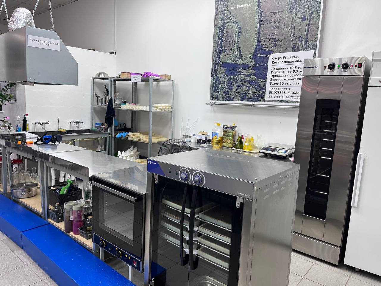 Мыло в форме елочной шишки и символа года: Костромская мыловаренная мануфактура изготовила эксклюзивные подарки к Новому году