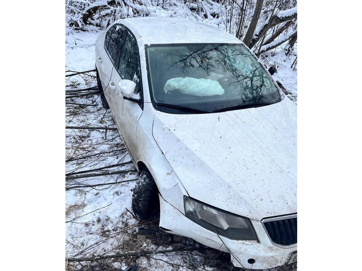 Костромские полицейские отыскали прятавшегося в лесу угонщика по следам на снегу