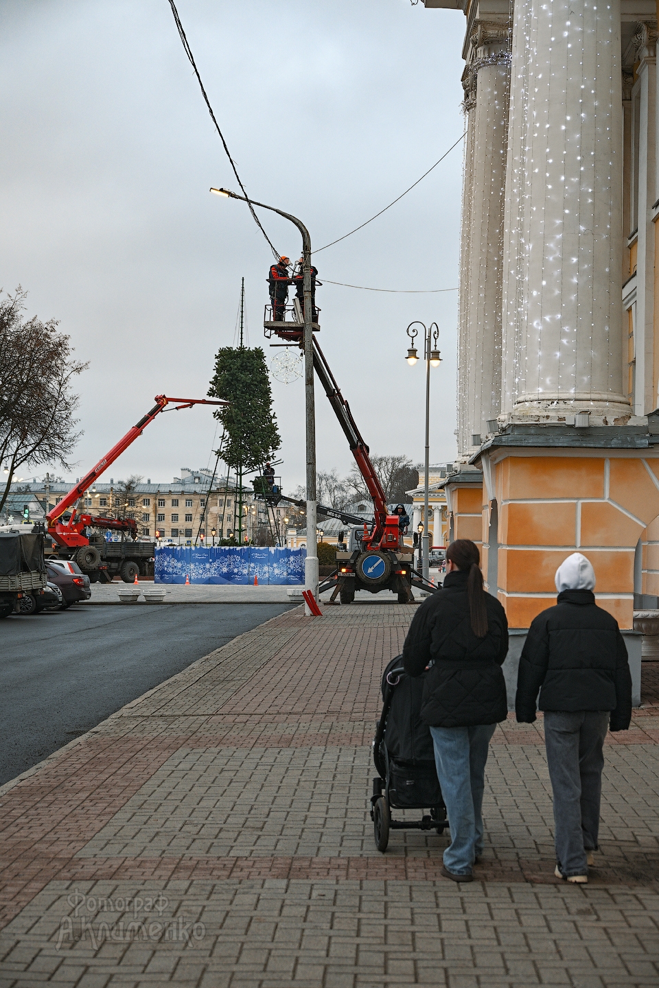 Кострому украсили новогодними елями