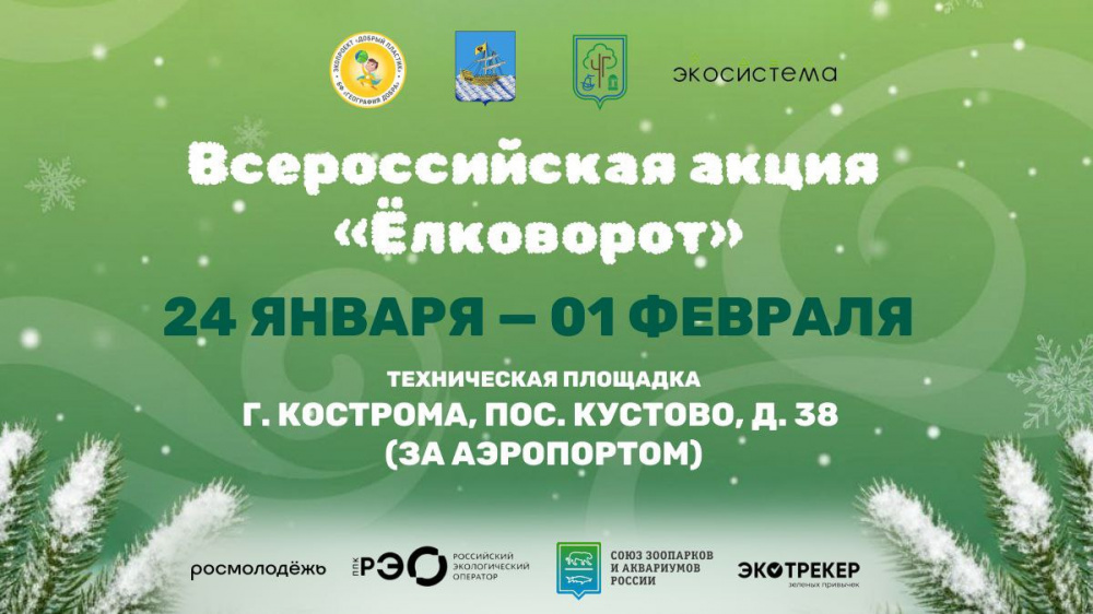 Ёлки костромичей готовы принять на переработку