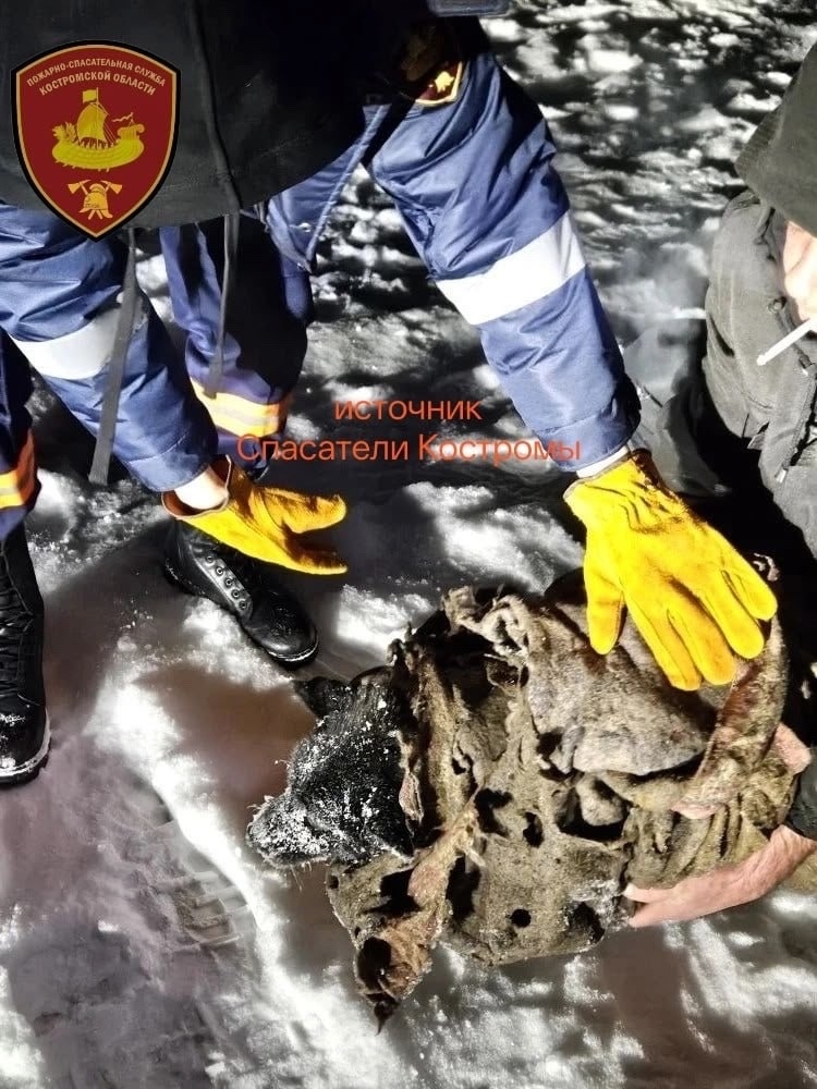 В Шарье спасли из ледяной реки тонущую собаку