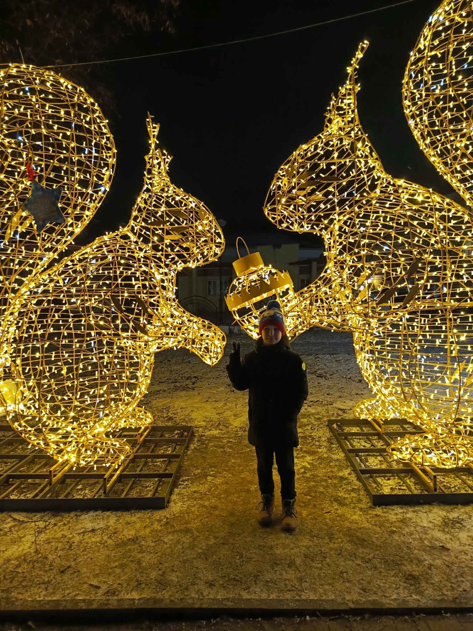 Трёхметровые белки покорили сердца костромичей и принесли победу застройщику