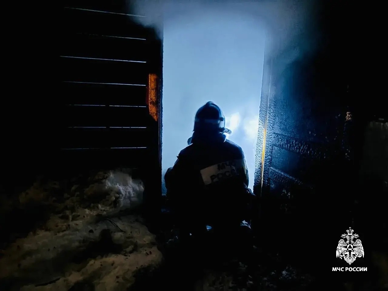 В костромской деревне заживо сгорели десять куриц