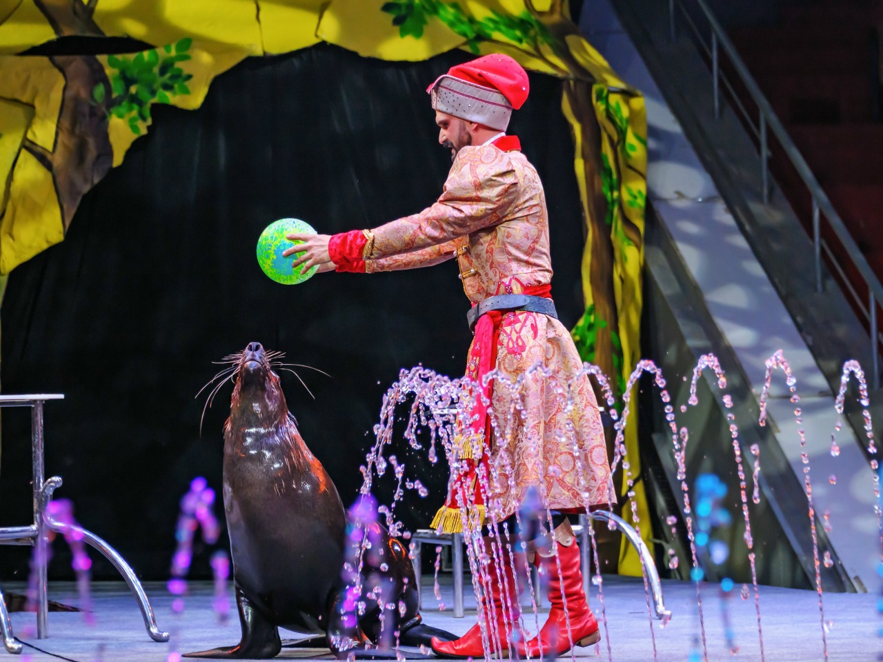 Магия воды и света: Костромской цирк приглашает в «Царство фонтанов»
