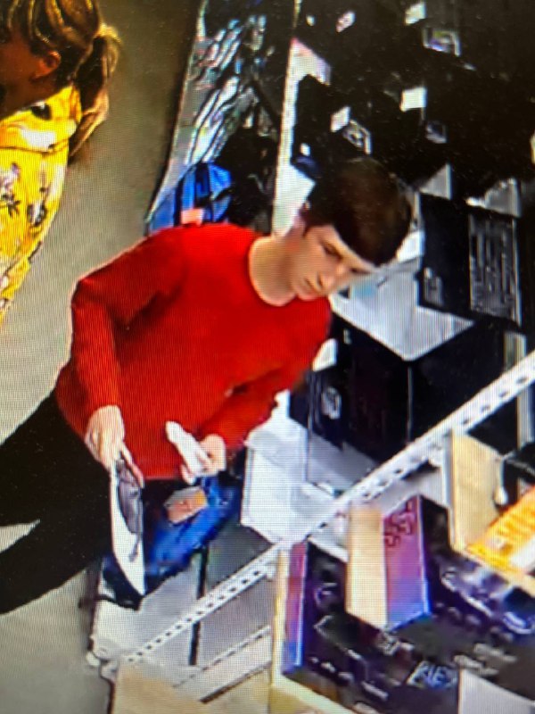 В Костромском районе ищут молодого похитителя электроники