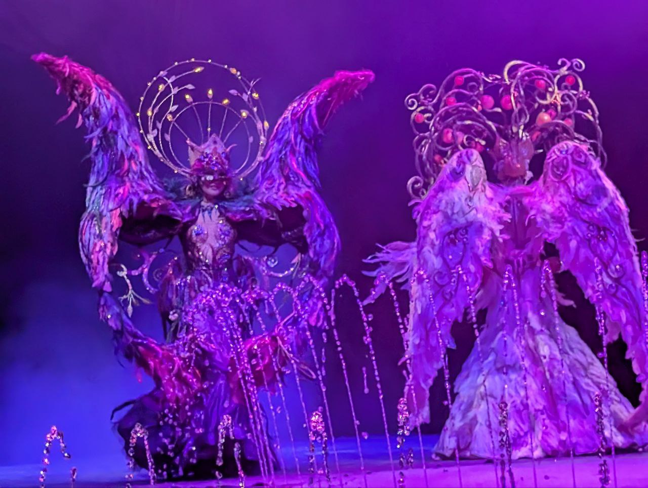 Тонны воды и полтора метра глубины: в Костромском цирке премьера грандиозного шоу с фонтанами