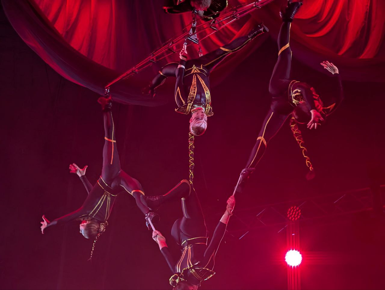 Тонны воды и полтора метра глубины: в Костромском цирке премьера грандиозного шоу с фонтанами