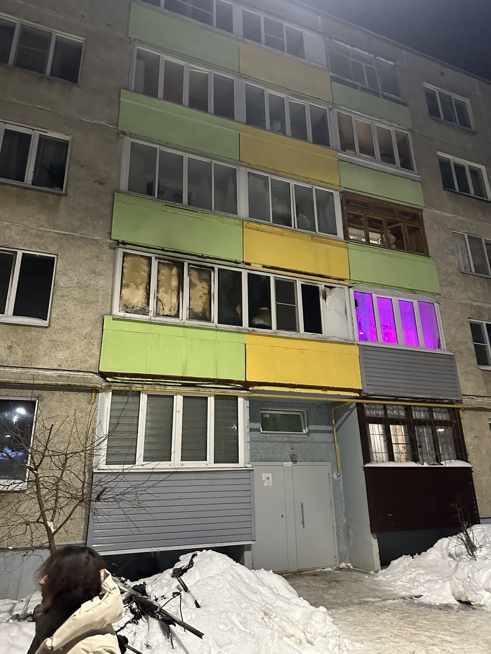 «Питомцы задохнулись на глазах ребенка»: пострадавшей от пожара семье из Костромы нужна помощь