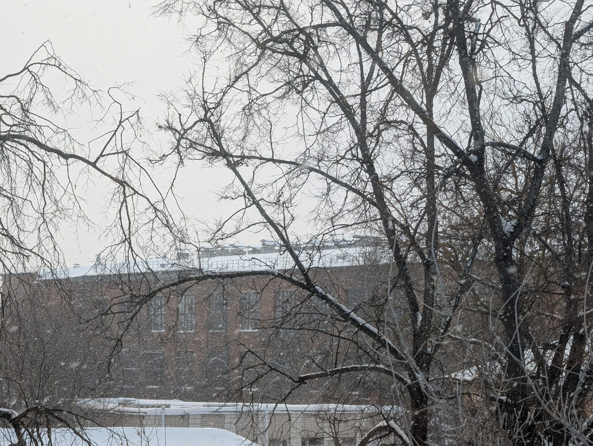 Ужасающий «Валли»: дойдет ли «московский» снегопад до Костромы