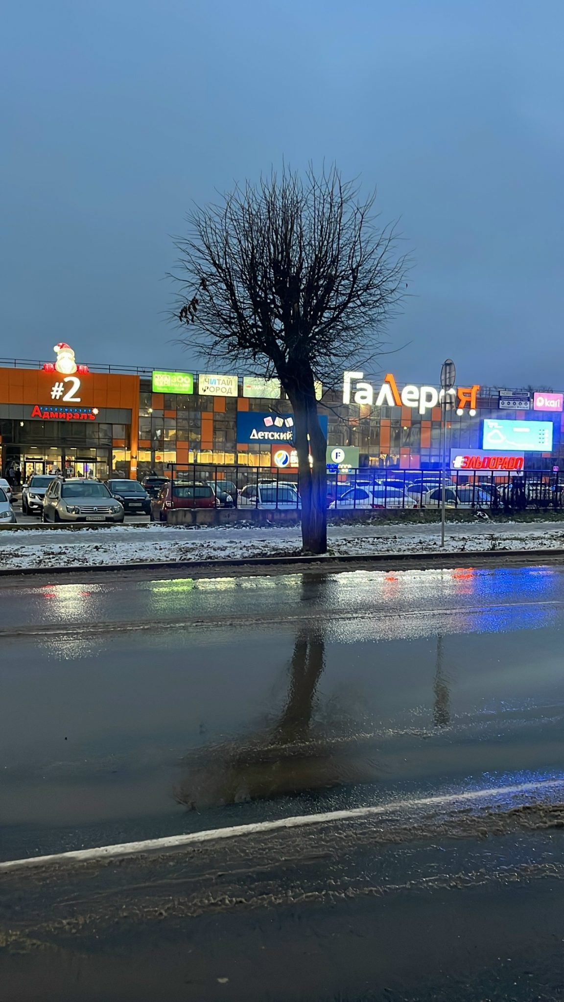 Пятерых костромских подростков поймали на зацепинге у «Галереи»