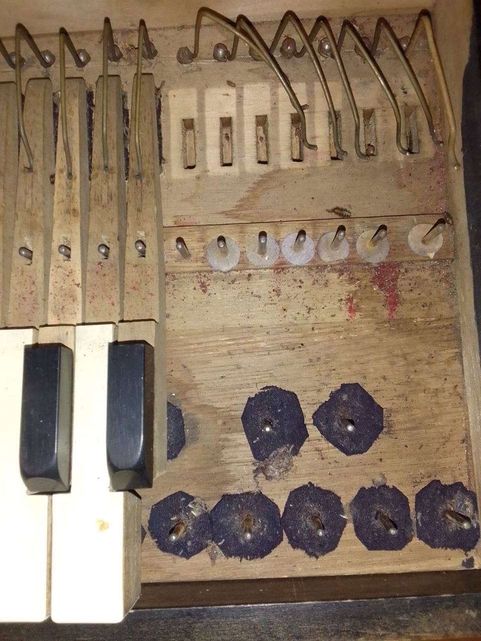 В Галиче подарили вторую жизнь редкой дореволюционной фисгармонии