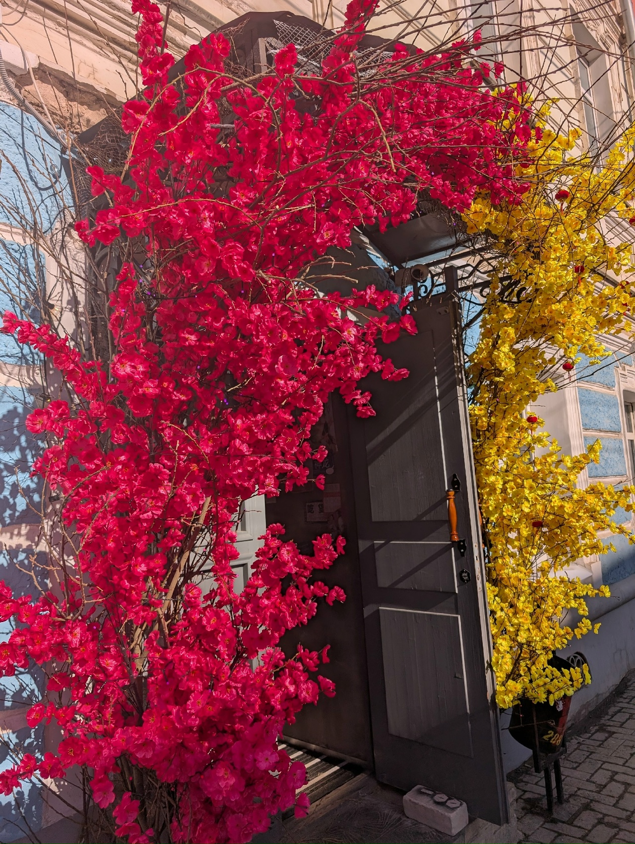 Вместо цветов - еловые ветки: костромской бизнес все еще ждет Деда Мороза