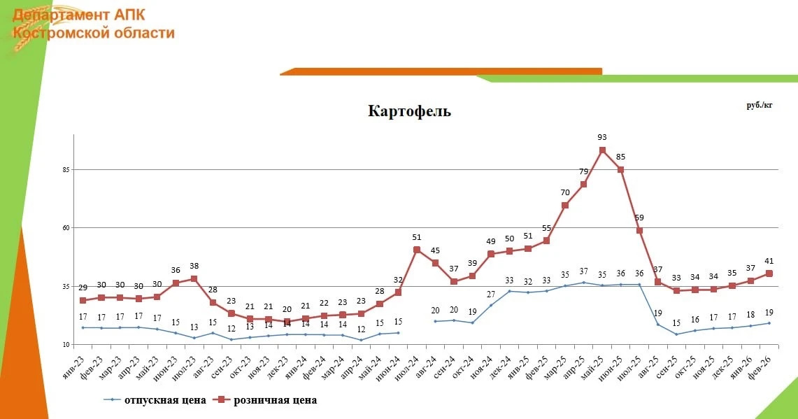 В Костромской области овощи будут хранить до нового урожая, чтобы сбить весенние цены