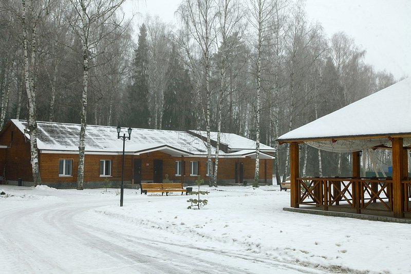 Матери и вдовы погибших костромских военнослужащих смогут бесплатно отдохнуть в санатории