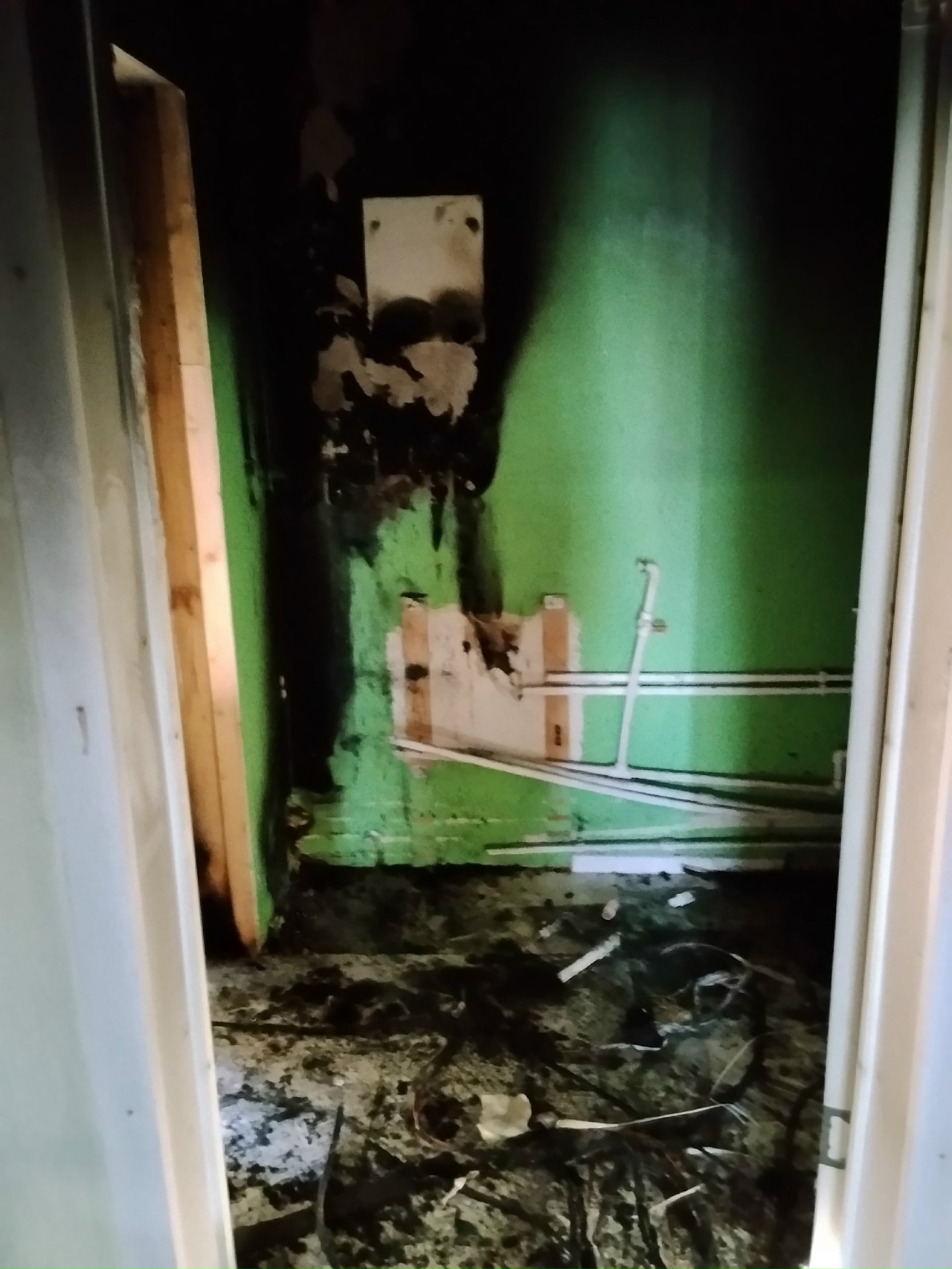 В костромском приюте из-за пожара погиб всеобщий любимец хаски Самурай