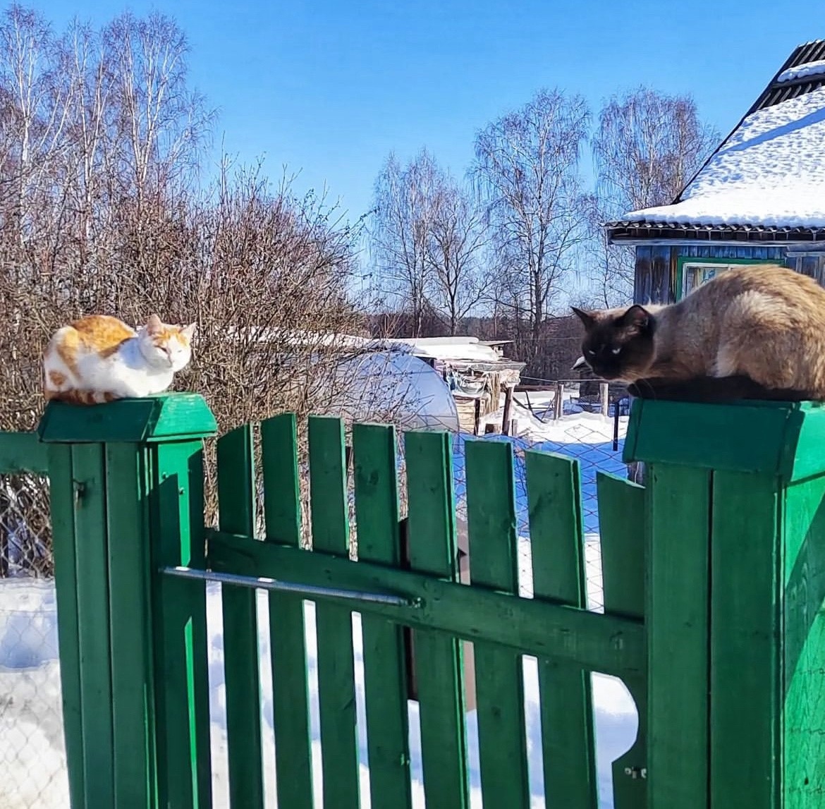 В Костроме установлен очередной рекорд по теплу