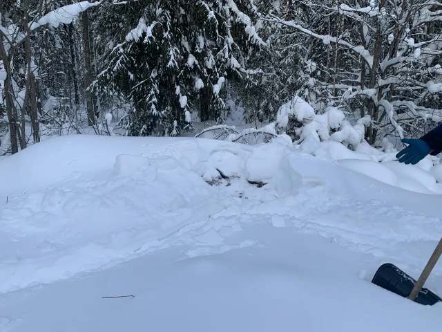 В Костромской области ликвидируют несанкционированную свалку по требованию прокуратуры