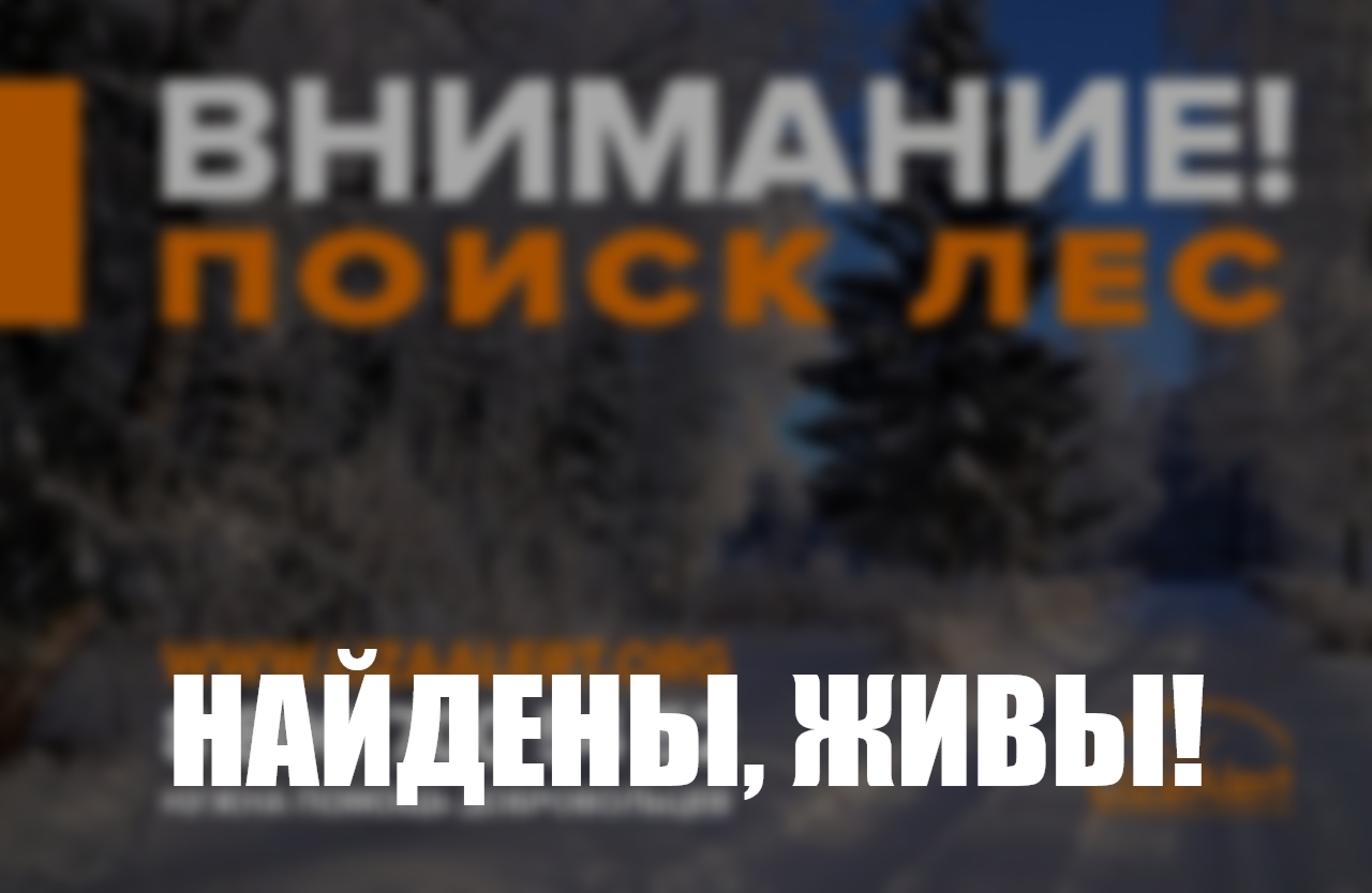 В лесу Костромского района благополучно завершились поиски двоих детей