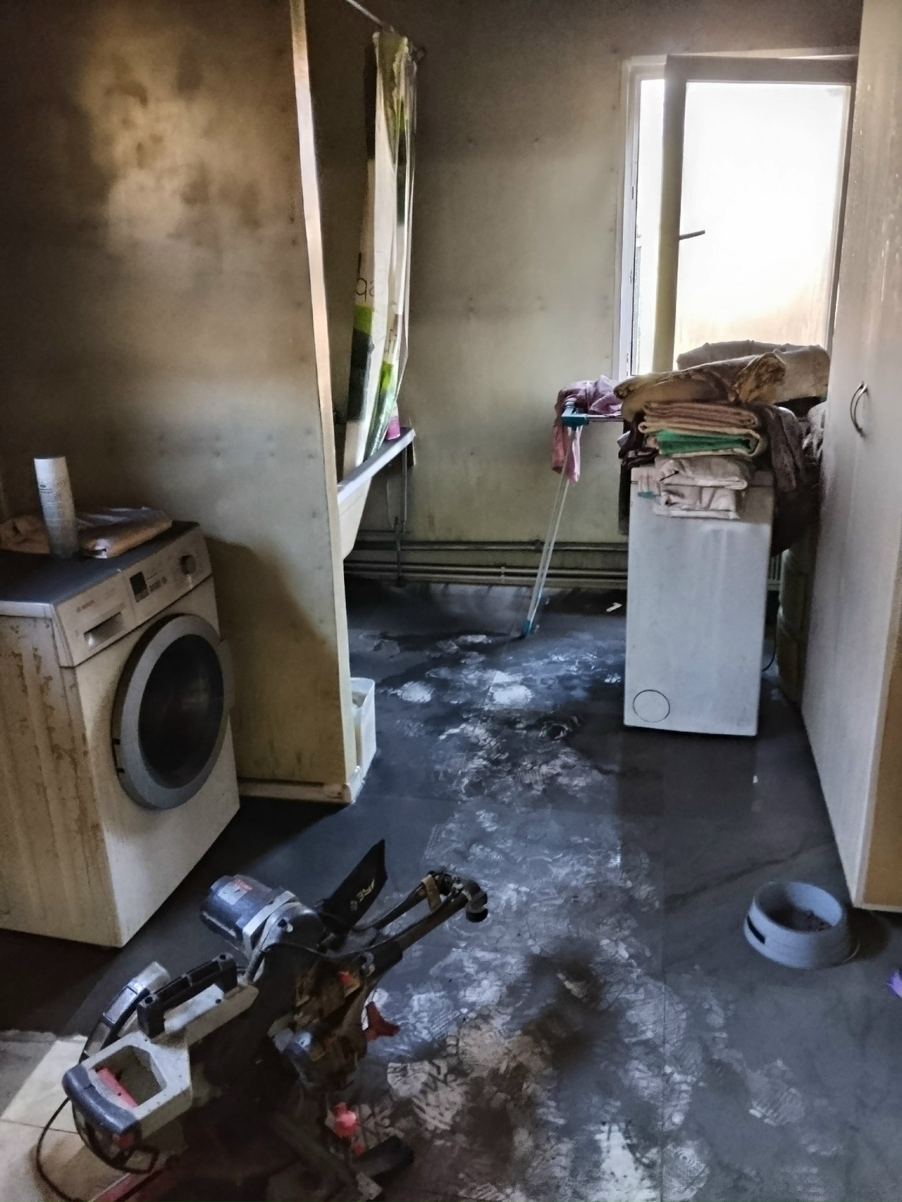 В костромском приюте из-за пожара погиб всеобщий любимец хаски Самурай