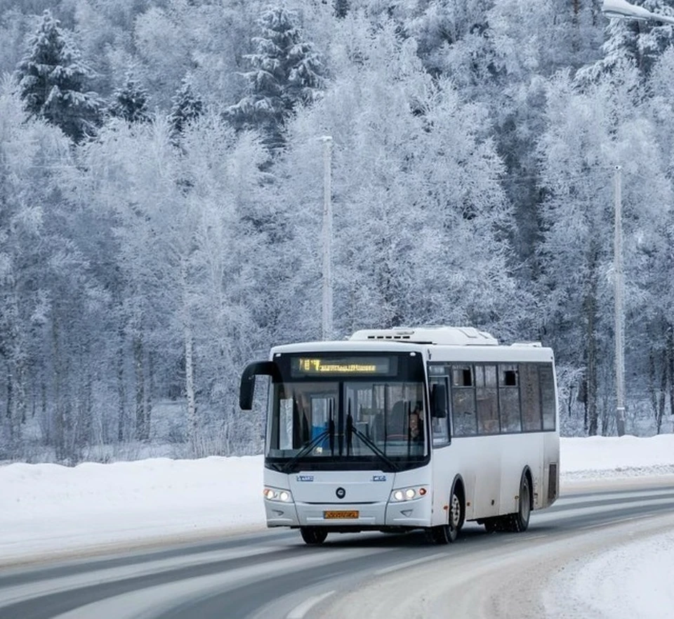 Костромской автобус №141 временно изменит маршрут и расписание