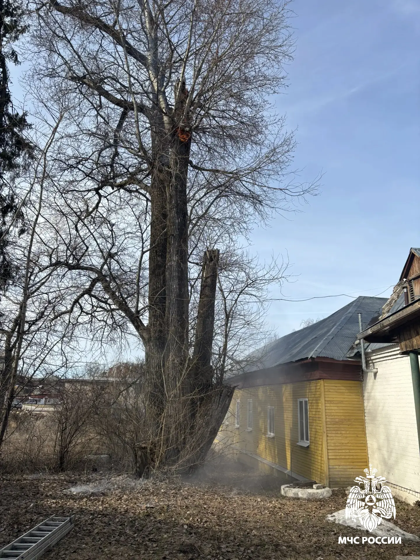 Горящая трава чуть не уничтожила знаменитый санаторий в Солигаличе