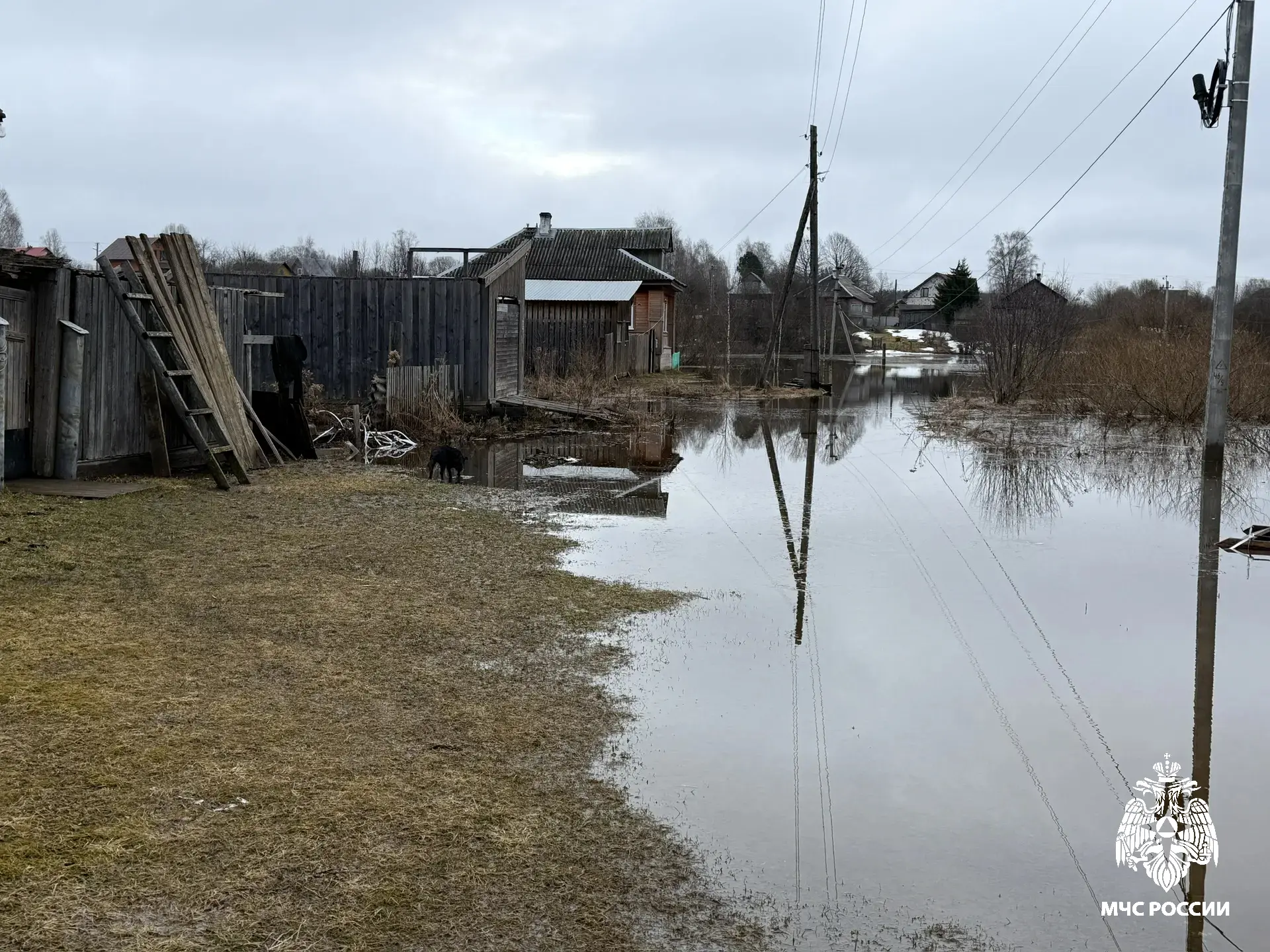 В Костромской области из-за разлива реки затопило два огорода