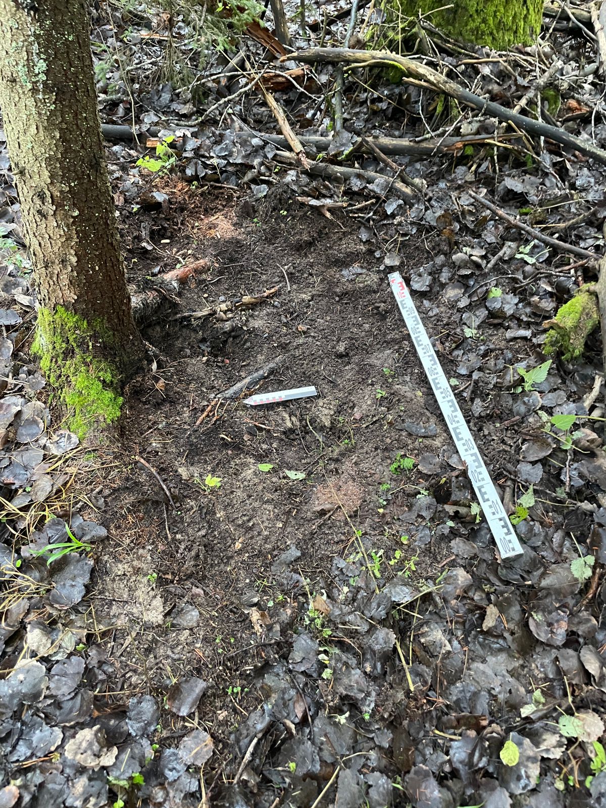 В Костромском музее появилась уникальная персидская сабля возрастом более 300 лет