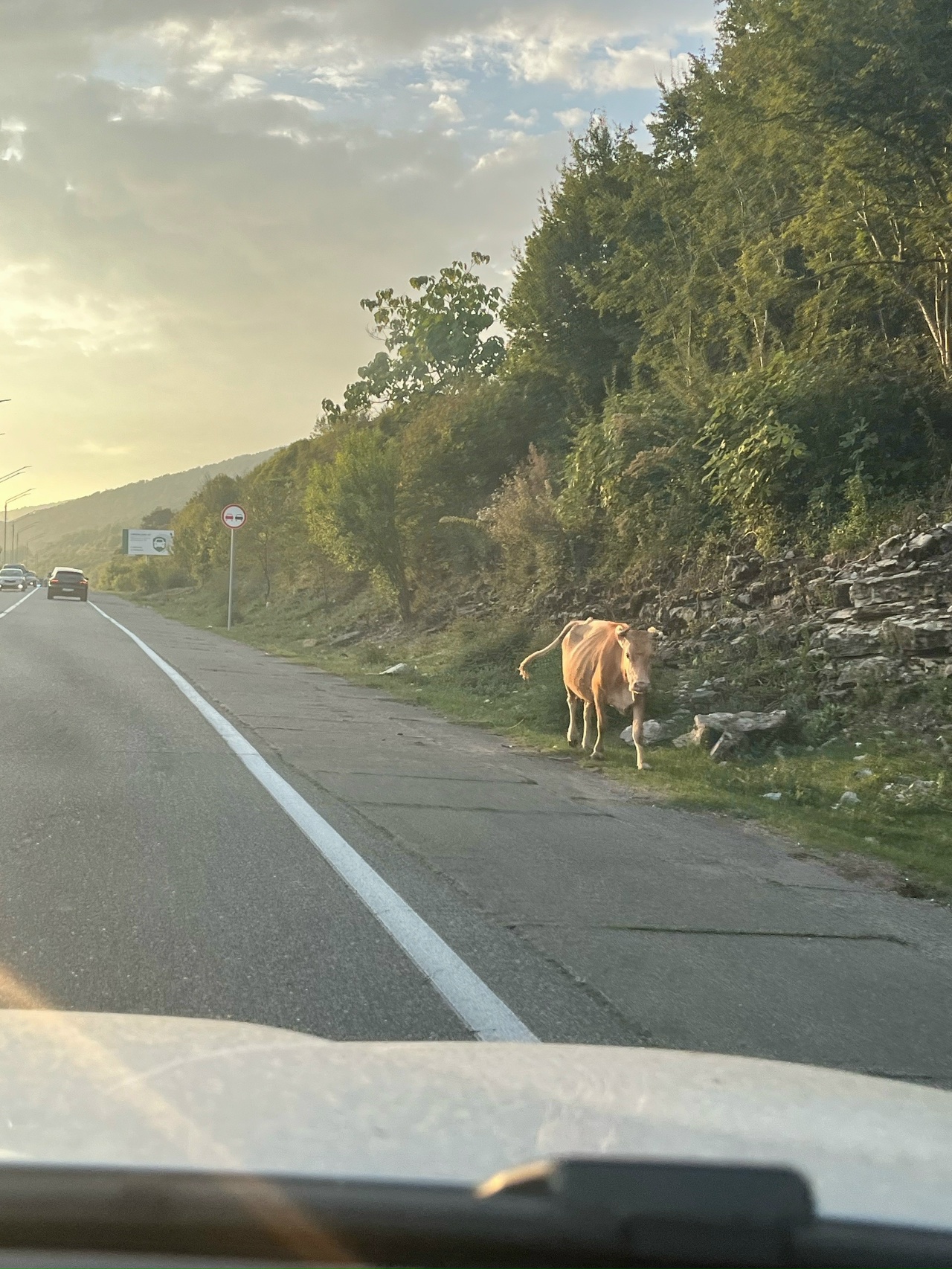 Костромичам разрешили возить детей в Абхазию без загранпаспортов