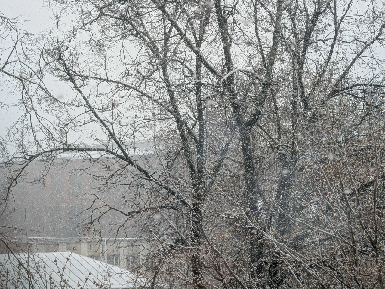 Мокрый снег накроет Костромскую область 24 апреля