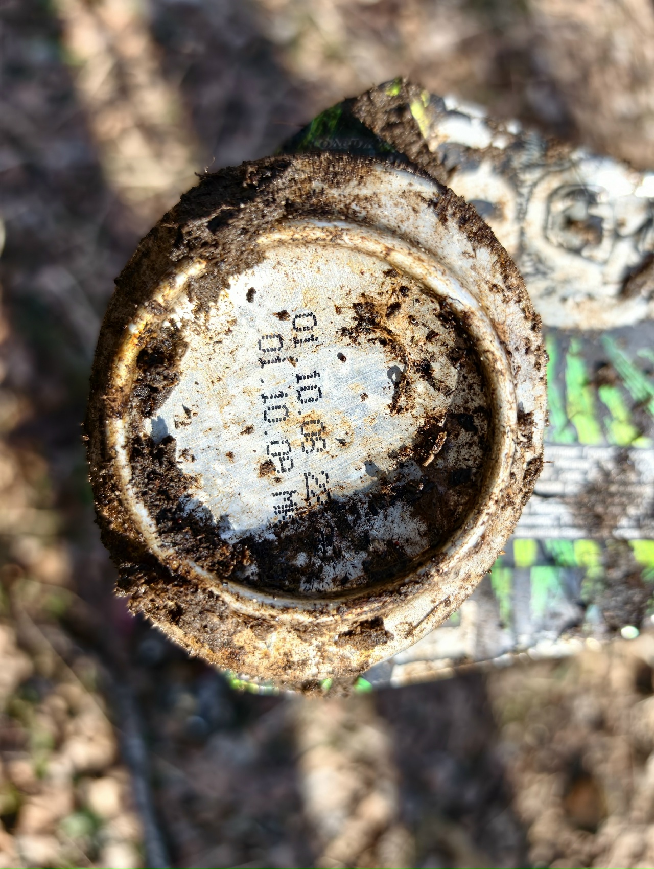 Горы мусора и артефакты: знаменитый Чистомэн провел в Костроме субботник