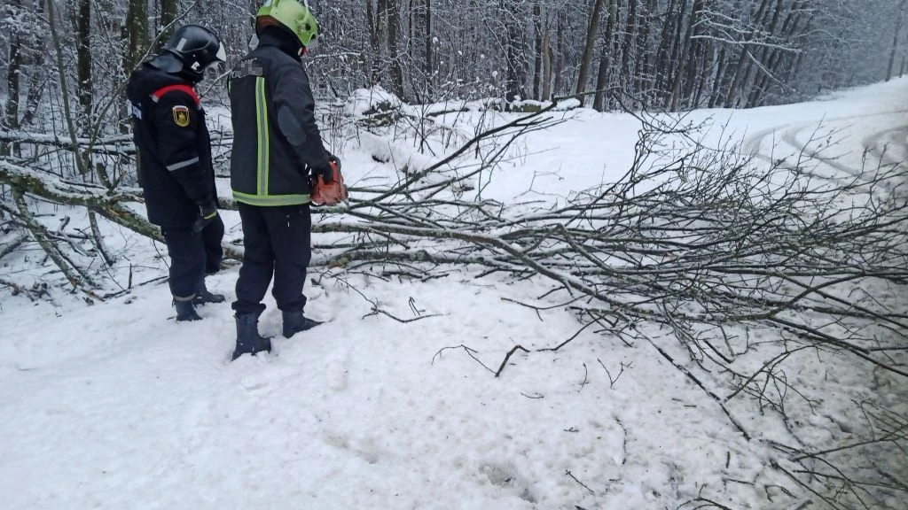 В Костроме шквалистый ветер повалил деревья на шести улицах