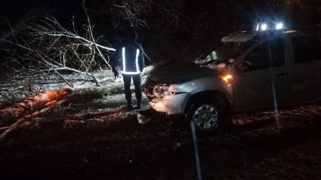В Костроме шквалистый ветер повалил деревья на шести улицах