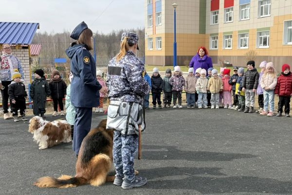 В костромской детсад привели служебных собак Чесси и Лэсси