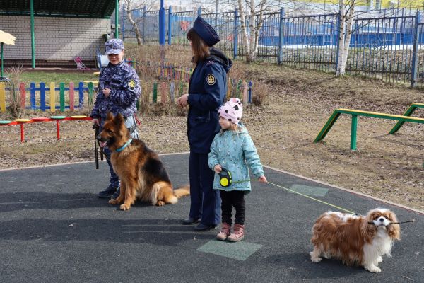 В костромской детсад привели служебных собак Чесси и Лэсси