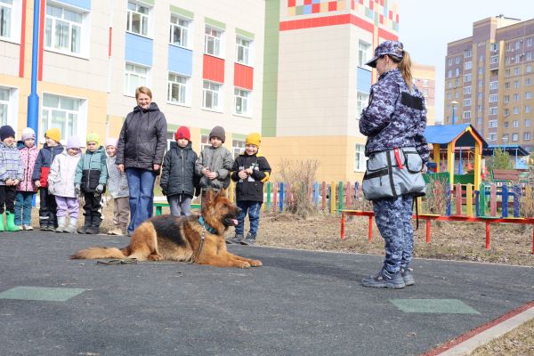 В костромской детсад привели служебных собак Чесси и Лэсси