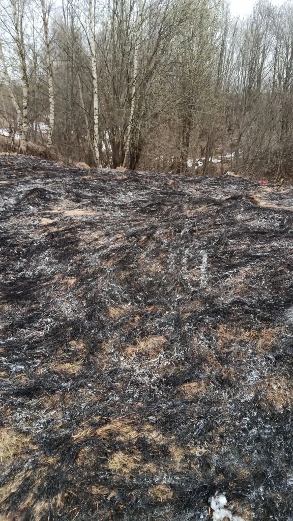 В Костроме спасатели за один день потушили три крупных пала травы