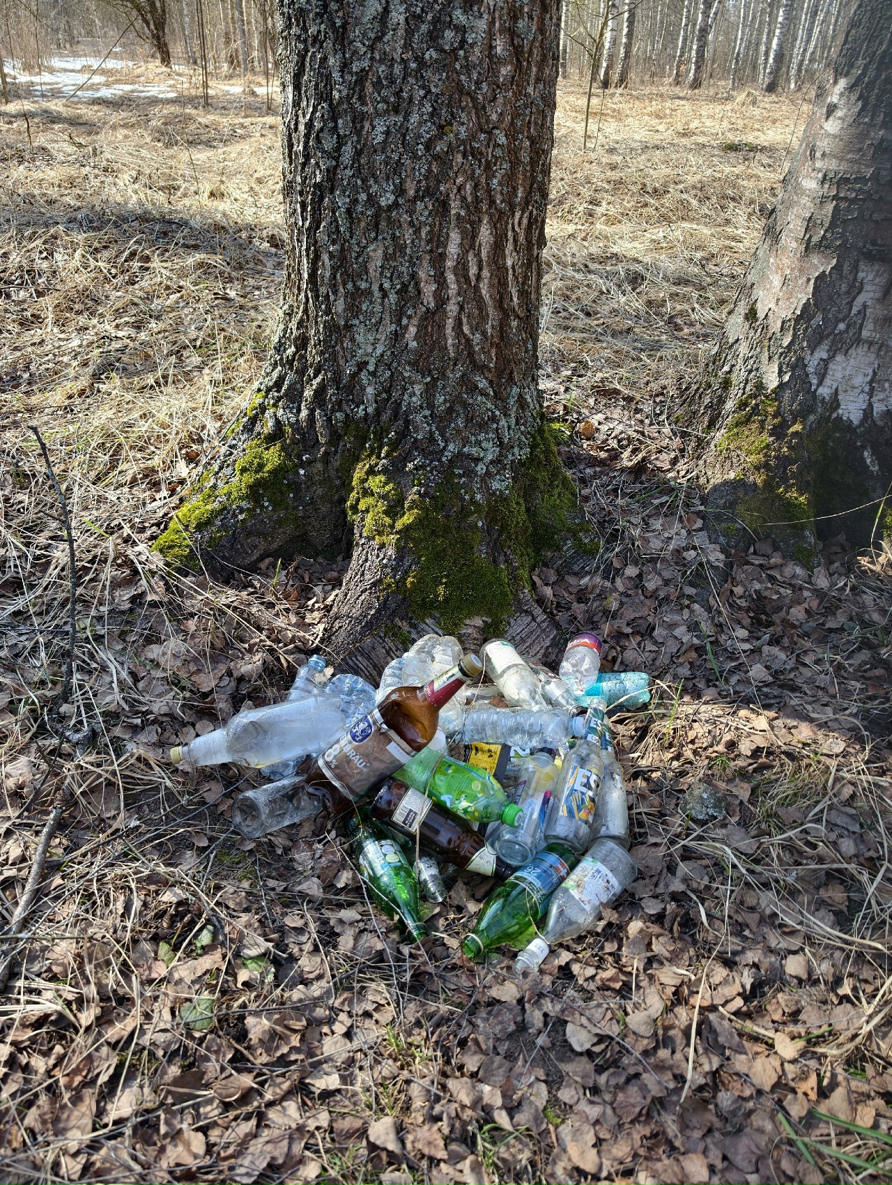 Горы мусора и артефакты: знаменитый Чистомэн провел в Костроме субботник