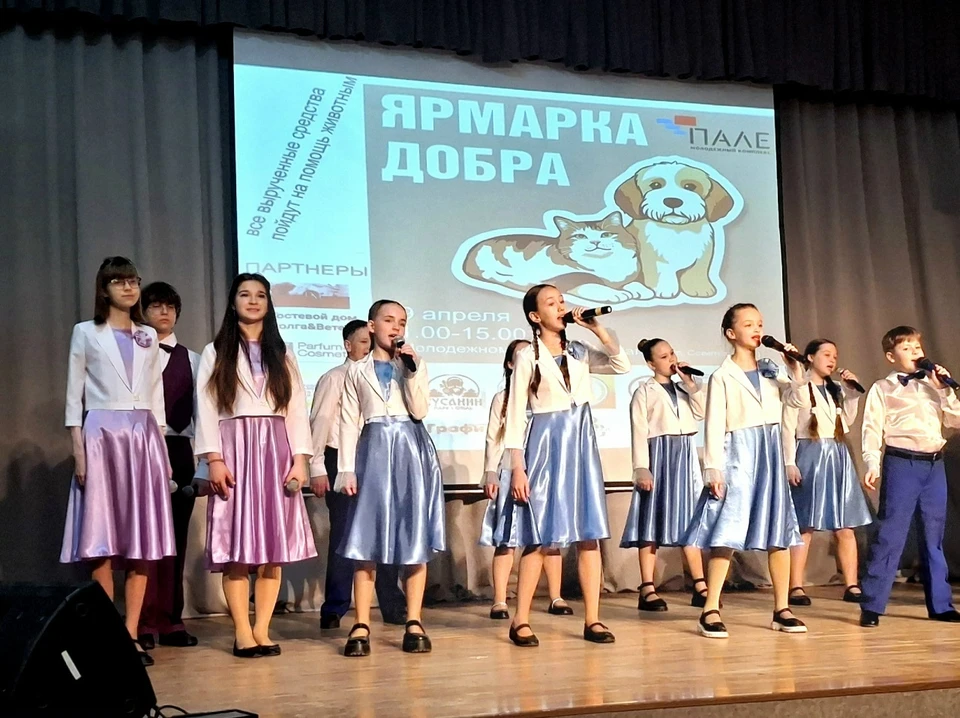 Жители трех городов Костромской области объединились ради помощи брошенным животным