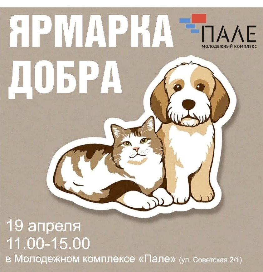 В Костроме 19 апреля состоится «Ярмарка добра» в поддержку бездомных животных