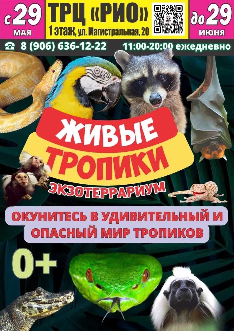 Джунгли зовут: в Кострому на целый месяц приезжает выставка «Живые тропики»